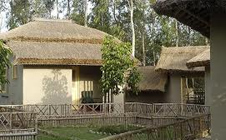 sunderban-jungle-camp